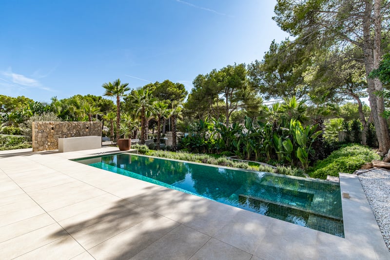 Piscine rectangulaire turquoise entourée d'une terrasse en pierre beige et de palmiers sous un ciel bleu.
