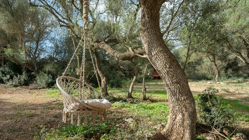 Beige hängstol i makramé upphängd i ett gammalt olivträd i en solig medelhavsträdgård.